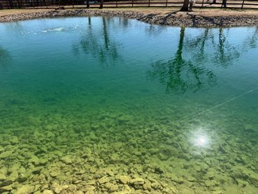 Clear pond with visible rocks and tree reflections on a sunny day.