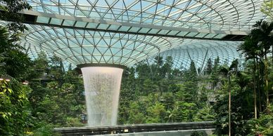 Famous waterfall in Singapore airport with trees in the sunshine