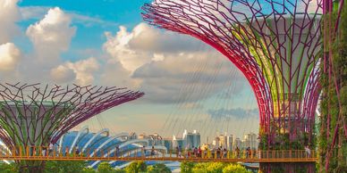 Singapore Super Tree Grove at Gardens by the Bay in the daytime with blue sky