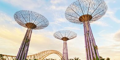Looking up at Gardens by the Bay with the sky in the background as the sun sets