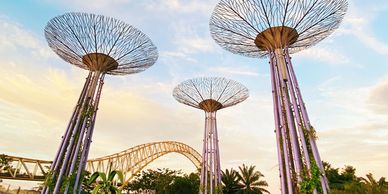 Gardens by the Bay at Singapore’s Marina Bay waterfront.