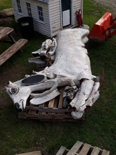 Chicago Reindeer home to Wells, Vermont. Her total restoration.