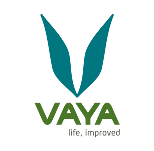 Vaya Tiffin, Vaya Drynk, Vaya Water Bottle, Thermos Water Bottle, Lunch Bag, Vaya Lunch Box
