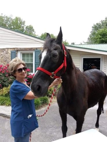 Woman in blue scrubs holding a black horse with a red halter outside a house.