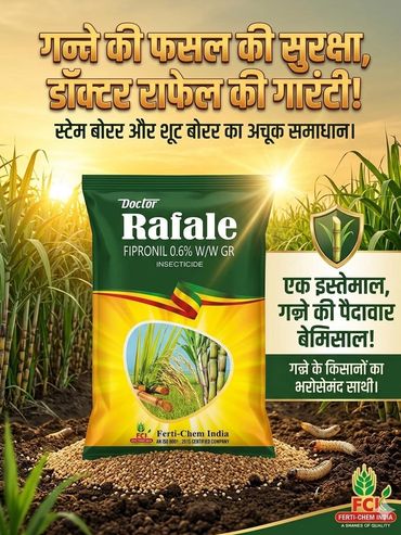 Doctor Rafale insecticide protects sugarcane crops effectively.