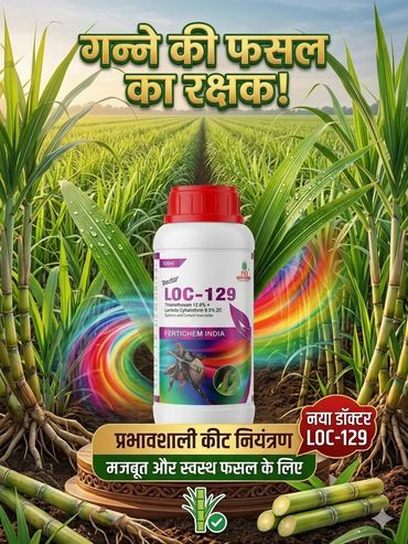 Sugarcane crop protector LOC-129 for effective pest control and healthy growth.