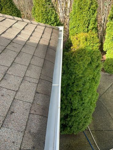 Gutter clean out.