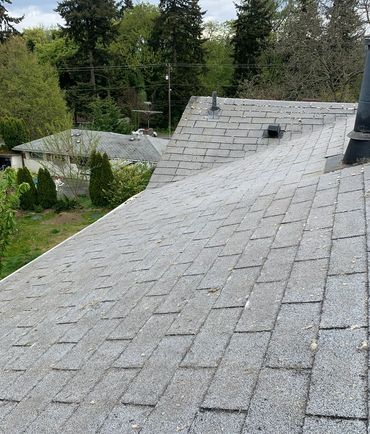 Treated soft washed roof.