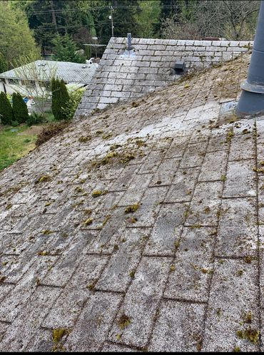 Dirty moss covered roof.