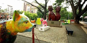 Parque los gatos cerca a Veca Flats Centenario en Cali.Rentas cortas y Locales