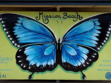 Mission Beach wall art, Far North Queensland, accommodation