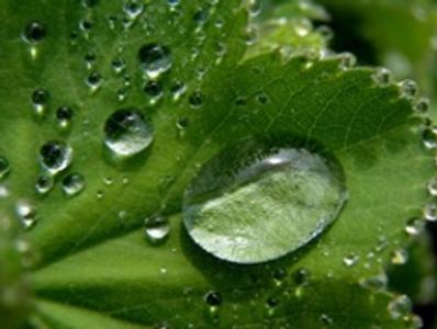 Xchem Global :ethyl acetate supplier in uae