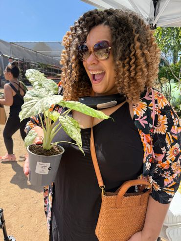 A joyful woman holding a potted Alocasia plant at a sunny outdoor market.