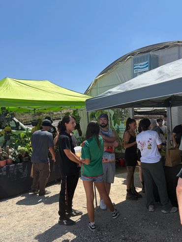 People gather under tents at an outdoor market on a sunny day.