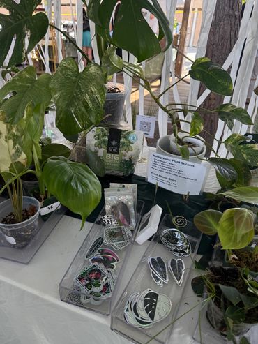 A table display of green plants and holographic plant stickers for sale.