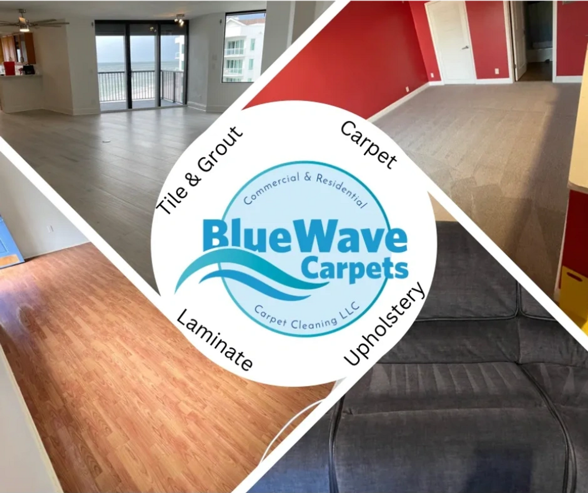 Carpet cleaning, Tile and grout cleaning, Laminate and Upholstery cleaning  Pinellas Park
