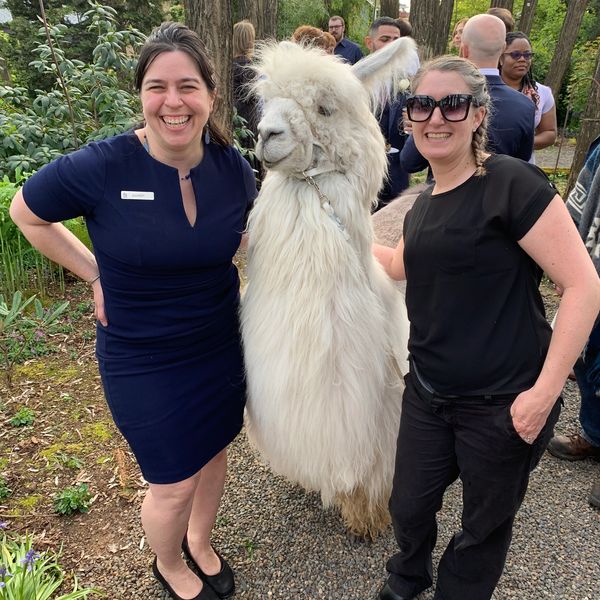 injoi with Radiant Love is in your corner for Portland wedding planning