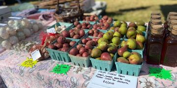 farm fresh market produce