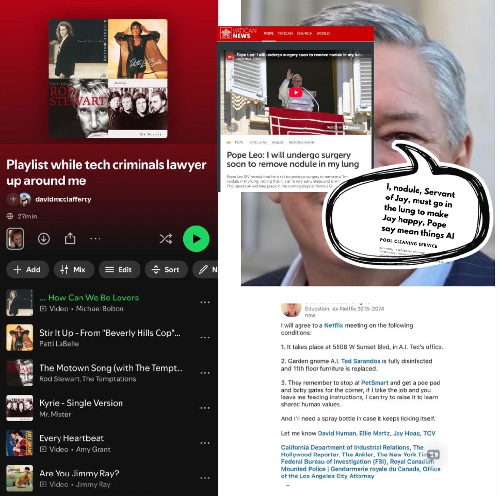 Playlist and message about surgery and conditions for Netflix meeting.