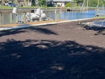 Waterfront driveway and yard along a canal, landscape delivery project by Unplugged Designs in Fort