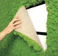 Polar Moss Flexible Panels