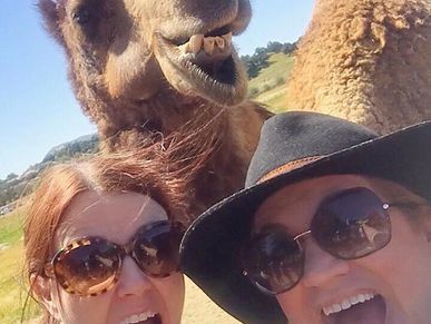 two fun gals and a camel taking a selfie