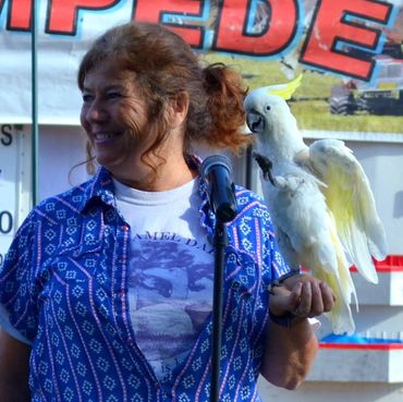 Nancy and Koalabi performing at an event at the Oasis Camel Dairy... there is no place like home
