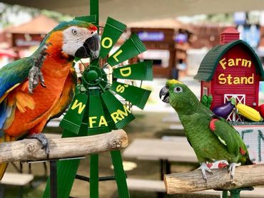 farm themed show for California Mid State Fair