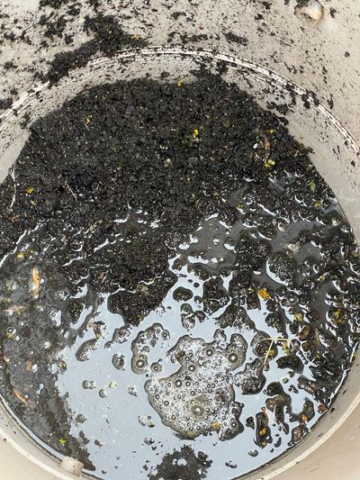 Gunk from Fascia and Soffit clean