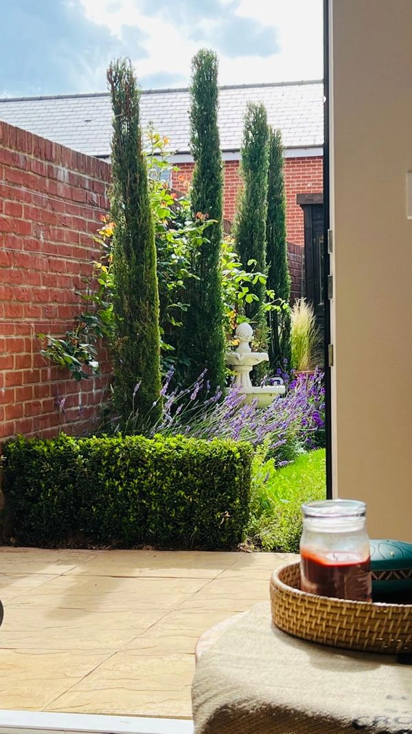 Garden Maintenance Folkestone, Hythe, Ashford, Maidstone