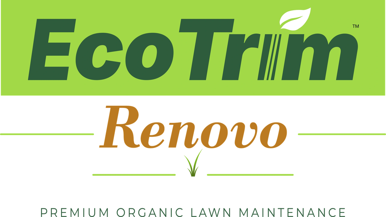 Lawn Care Folkestone, Hythe, Ashford, Maidstone, Deal and Kingsdown