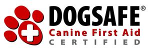 Dog First Aid Certification