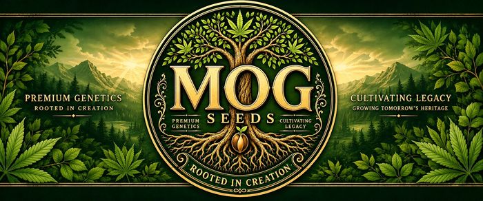 MOG Seeds premium genetics, cultivating legacy tree of life, sprouting seed mountain background