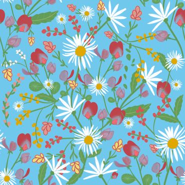 Daisies and field flowers