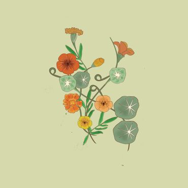 Nasturtium and Marigolds
