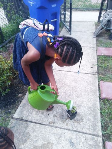 Greenleaf Garden Club Member water her cucumber plant.