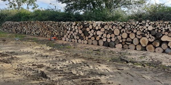 Tree Surgery