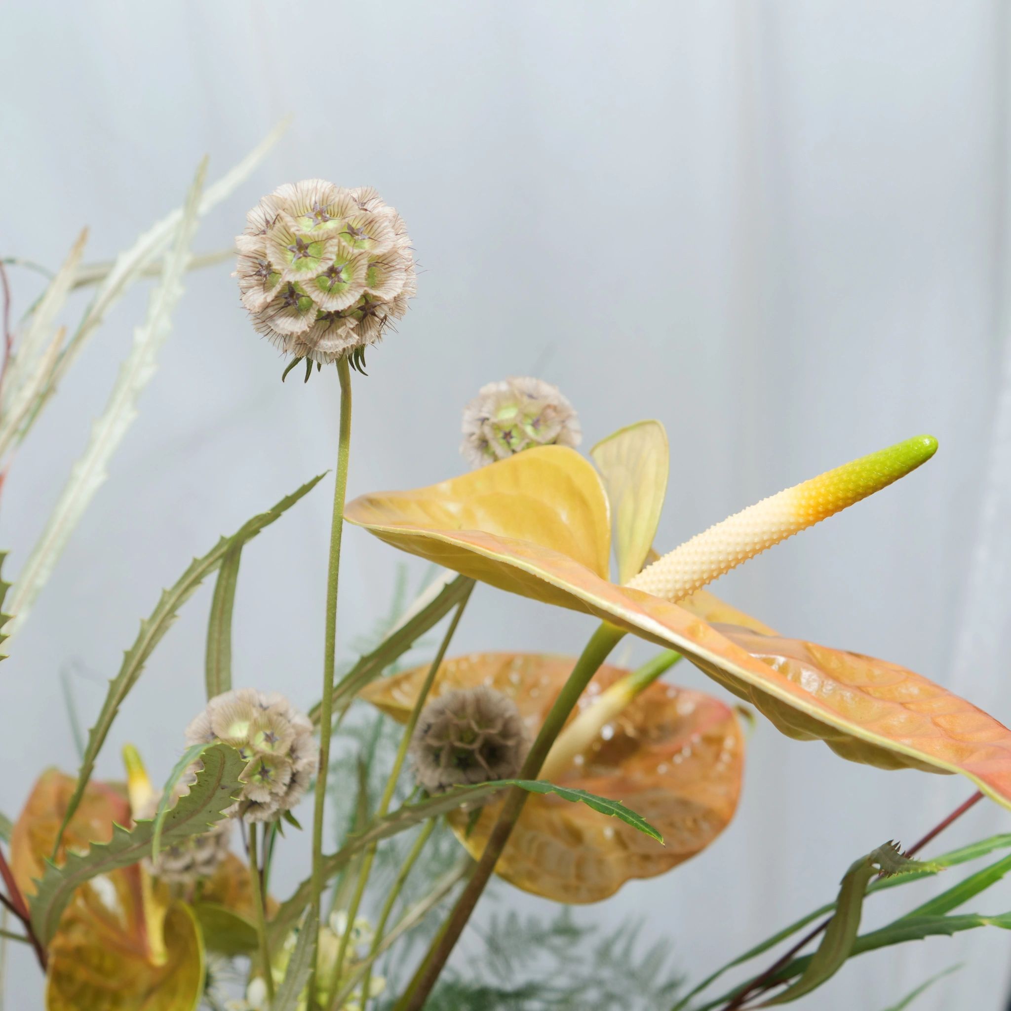 anthurium and other flowers