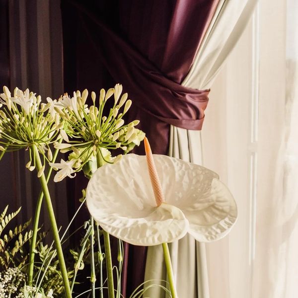 anthurium