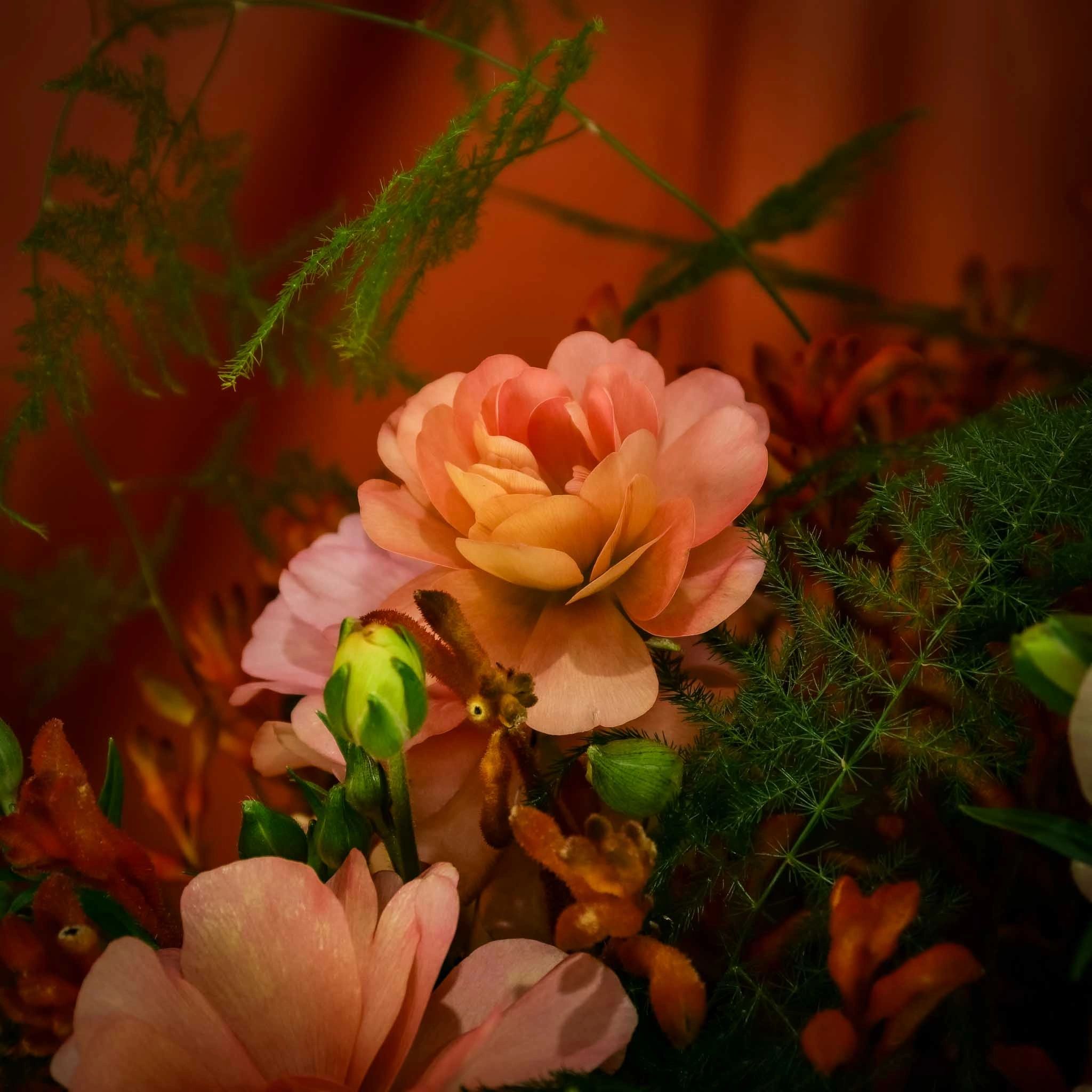 orange flower