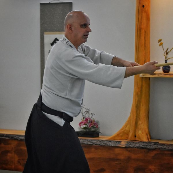 Doug Willcox, aikido