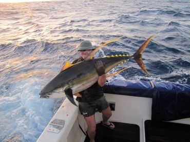 Huge yellow fin tuna caught in the marquises