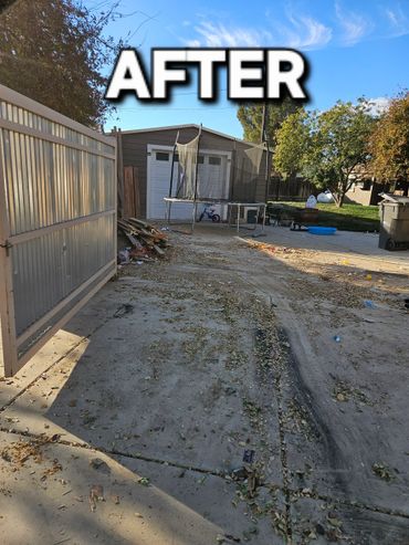 A backyard with a trampoline and scattered leaves on the concrete surface.