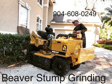 Experienced Stump Grinder for Homeowner and Tree Service Company
