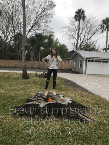 Mascot for Tree Stump Grinding