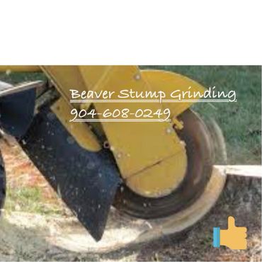 Teeth on a stump grinder