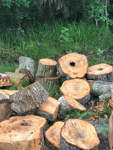 Get rid of unwanted stumps