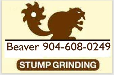Business Randy Beaver Stump Grinding