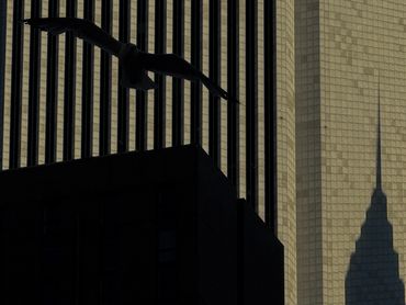 Photography: Georgea Costa Netto @georgeanlart Chicago (PISPA)