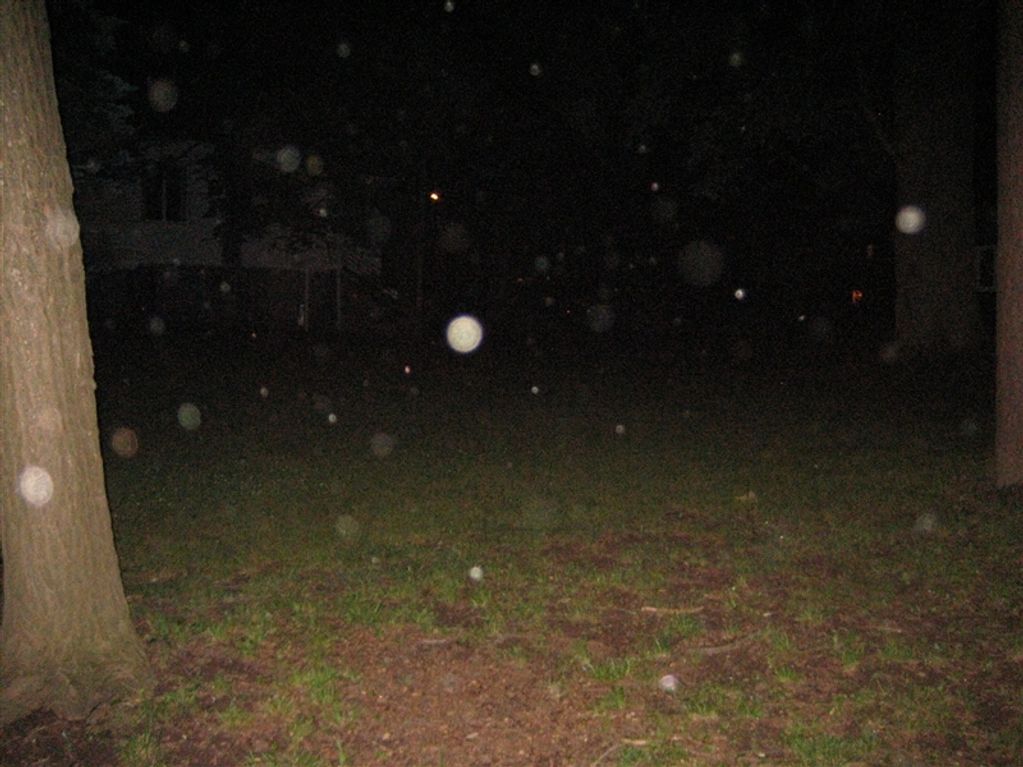 A variety of circular orbs ranging from large to small, faint to bright